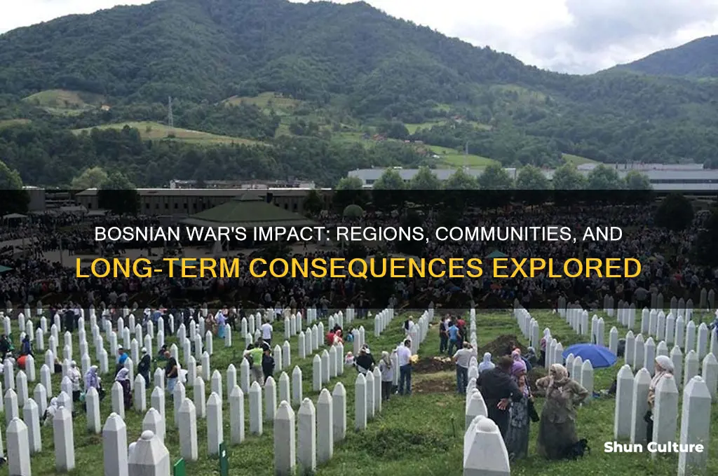 what areas did the bosnian war affect