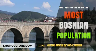 Where Bosnians Thrive: Top US Cities with Largest Bosnian Communities