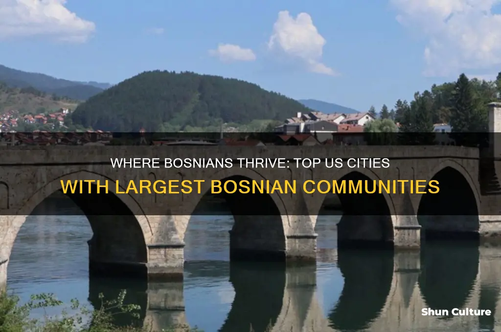 what areas in the us has the most bosnian population
