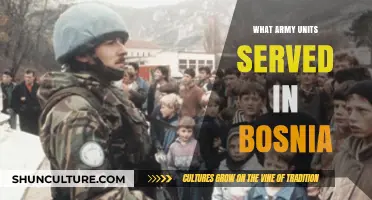 Bosnia Deployment: Army Units and Their Roles in the Conflict