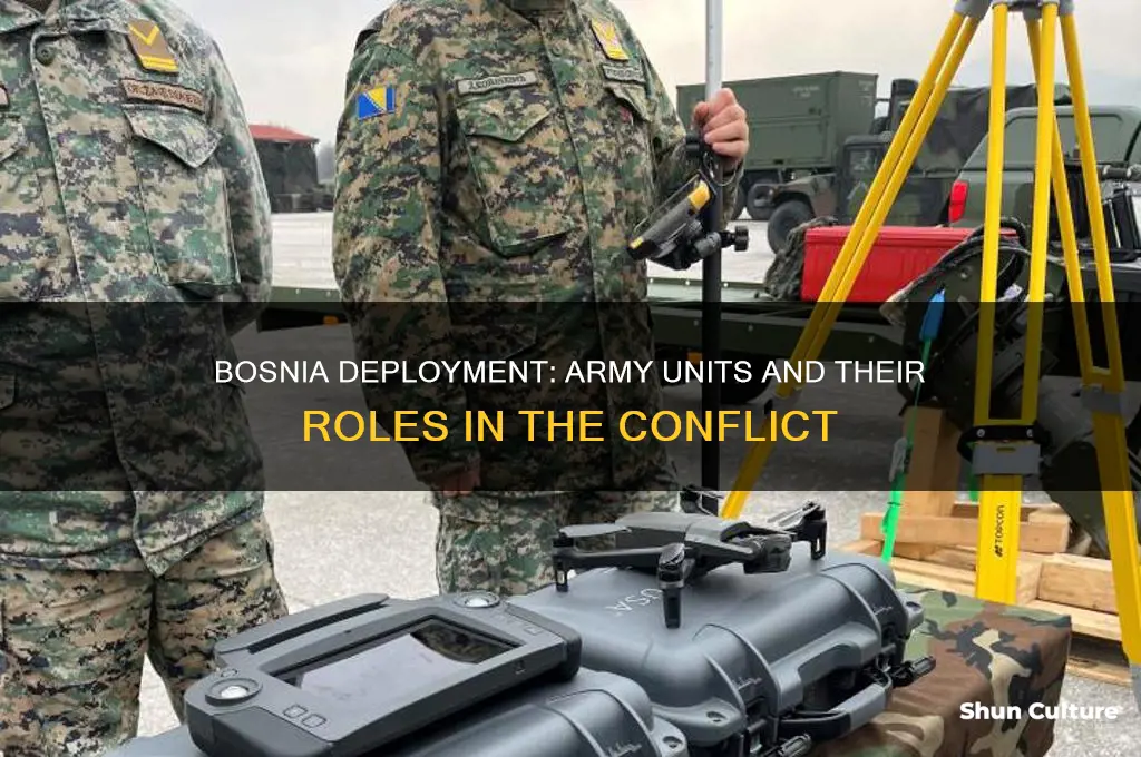 what army units served in bosnia