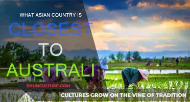 Exploring Australia's Closest Asian Neighbors: A Geographic Overview