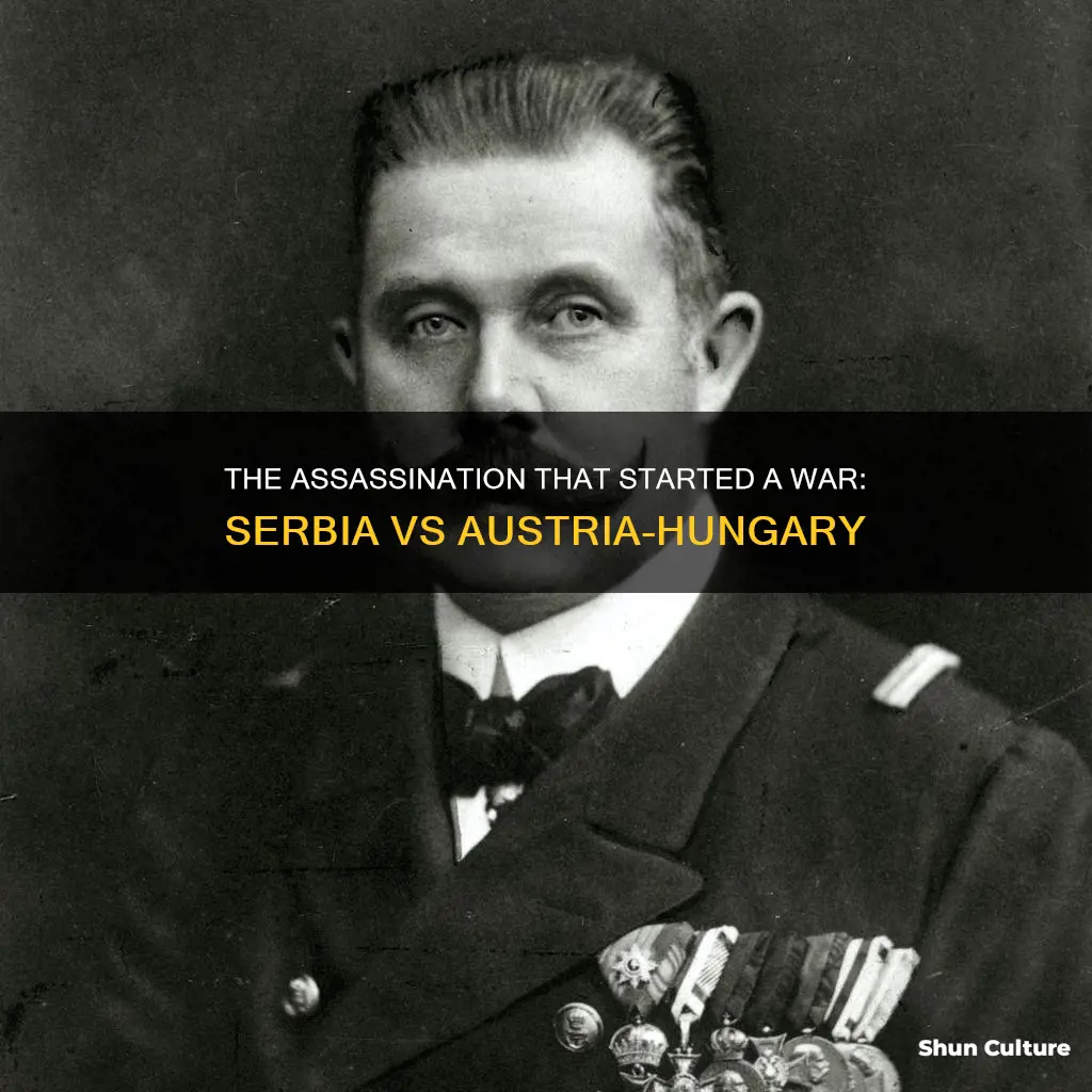 what assassination instigated war between serbia and austria hungary