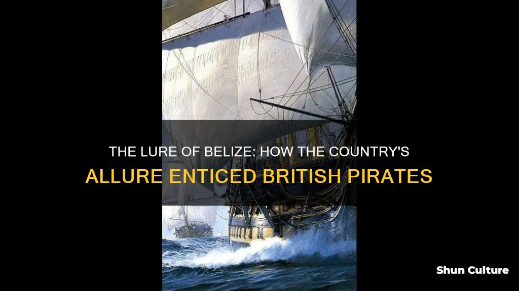 what attracted the british pirates to belize