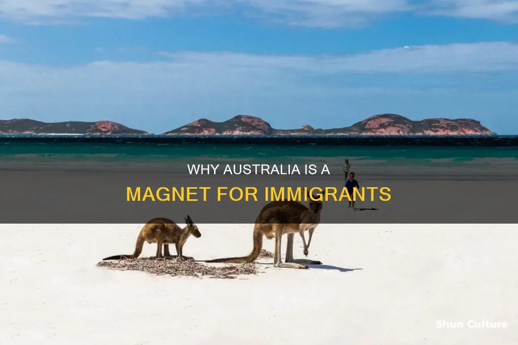 what attracts people to australia