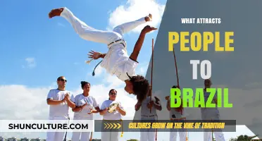 Brazil's Allure: Culture, Nature, and Vibrancy Drawing Global Admiration