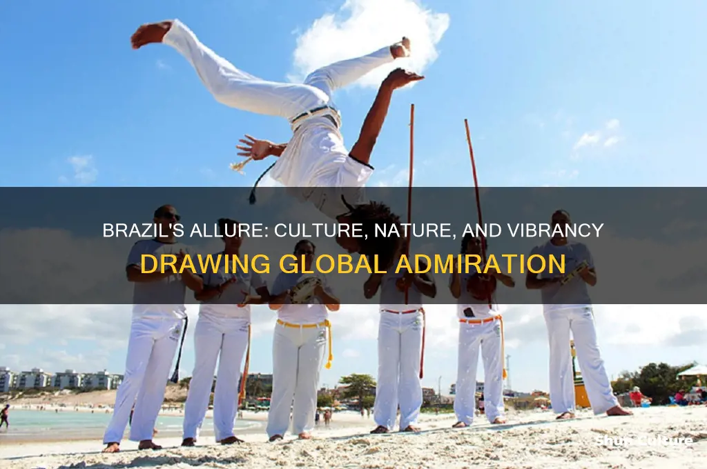 what attracts people to brazil