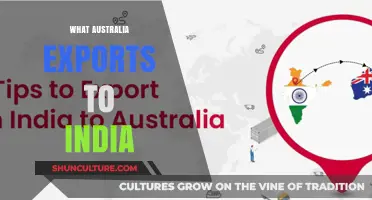 Australia-India Trade: What Does Australia Export to India?