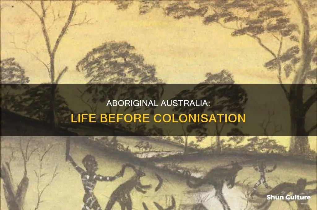 what australia looked like before settlement