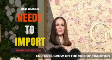 Australia's Import Essentials: Filling Gaps in the Economy and Daily Life