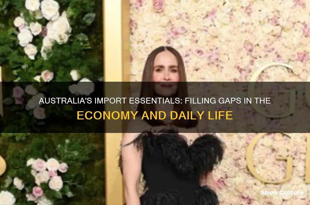 what australia needs to import