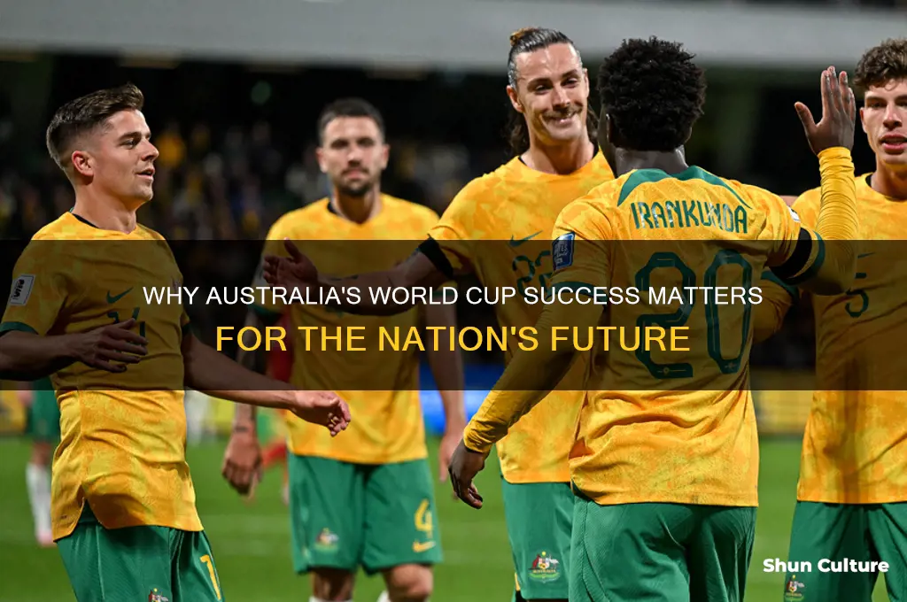 what australia needs world cup