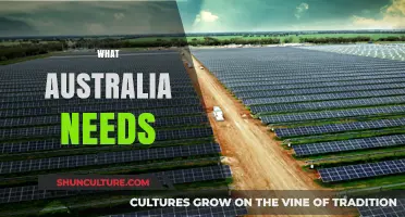 Australia's Future: Key Priorities for Growth, Unity, and Sustainability