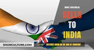 Australia-India Trade: What Does Australia Sell to India?