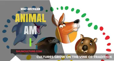 Discover Your Aussie Animal Spirit