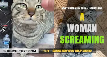 The Mystery of Australia's Woman-like Screams in the Wild