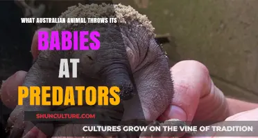 Australian Critter's Unusual Defense: Babies as Weapons