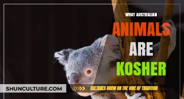 Kosher Wildlife in Australia: Which Animals Are Permitted?