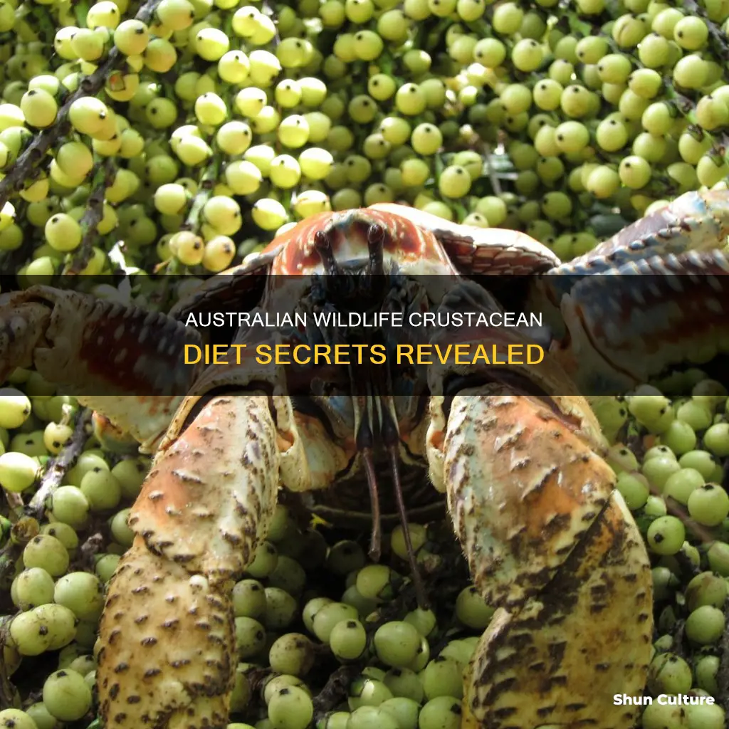 what australian animals eat crustaceans