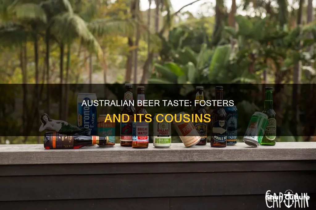what australian beer taste like fosters