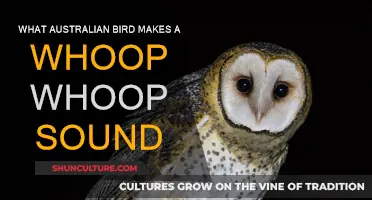 Australian Bird Whoop-Whoop: What Species Makes This Sound?