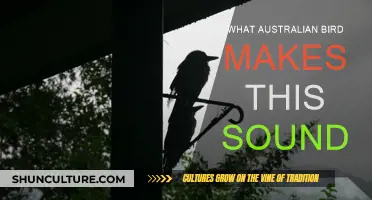 Birdsong: Australian Birds and Their Unique Calls
