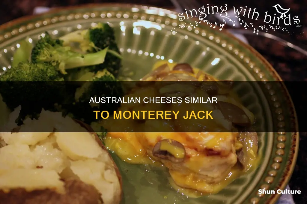 what australian cheese is like monterey jack