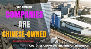 Chinese-Owned Companies in Australia: A Comprehensive Overview