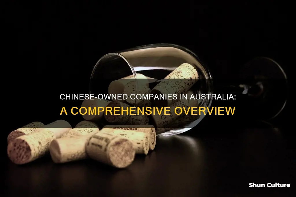 what australian companies are chinese-owned