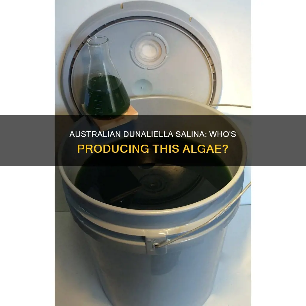 what australian companies make dunaliella salina