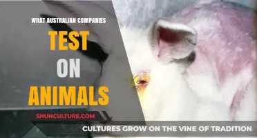 Animal Testing: Australian Companies Under the Spotlight