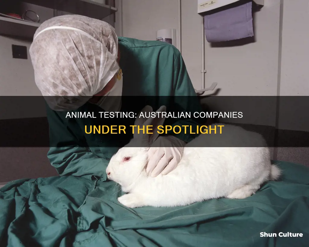 what australian companies test on animals
