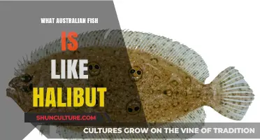 Finding Halibut in Australian Waters