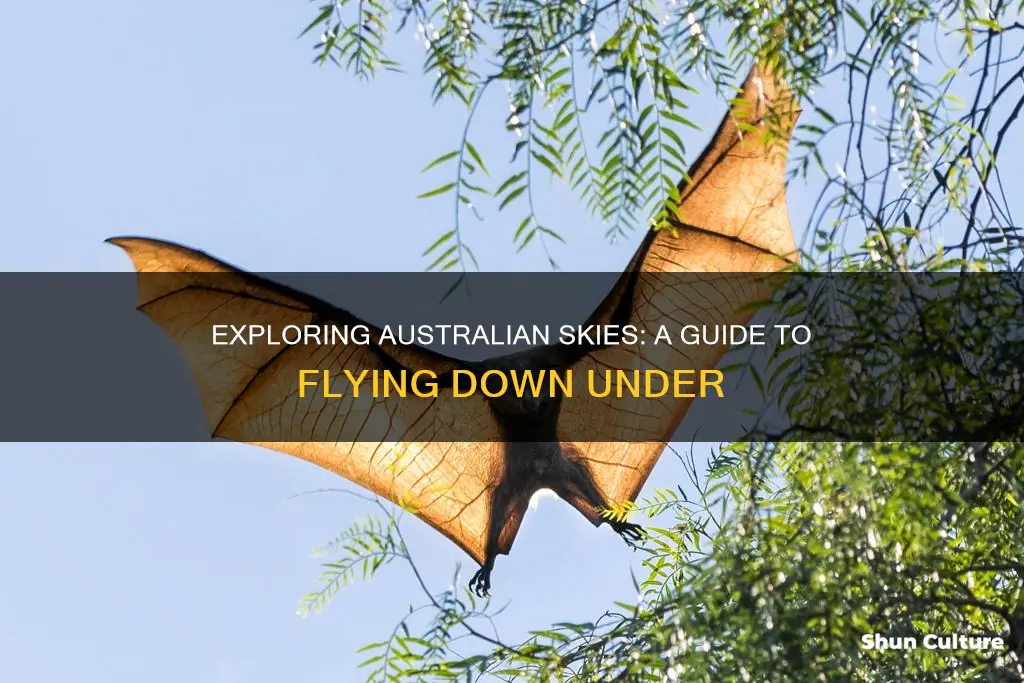 what australian flying
