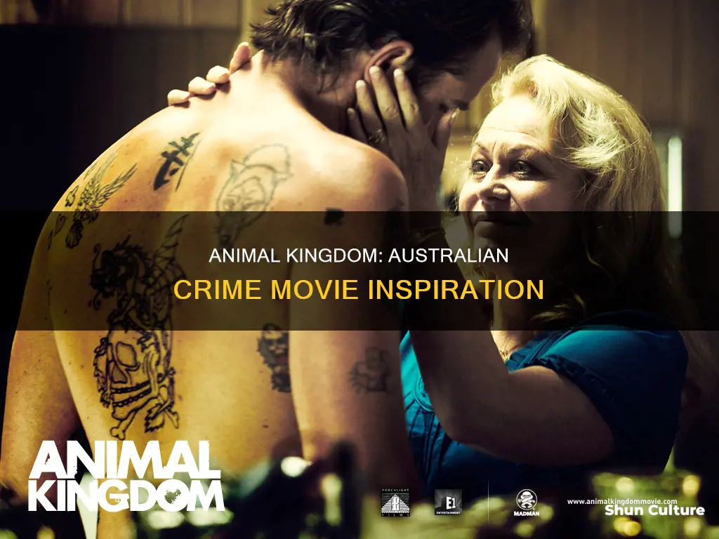 what australian movie is animal kingdom based on