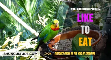 Explore Australian Parrots' Favorite Foods