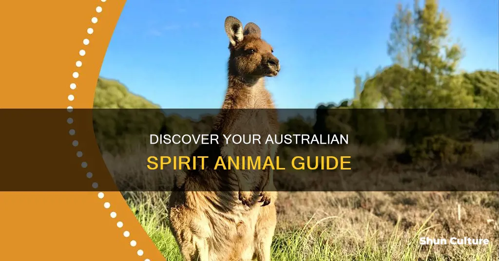 what australian spirit animal am i
