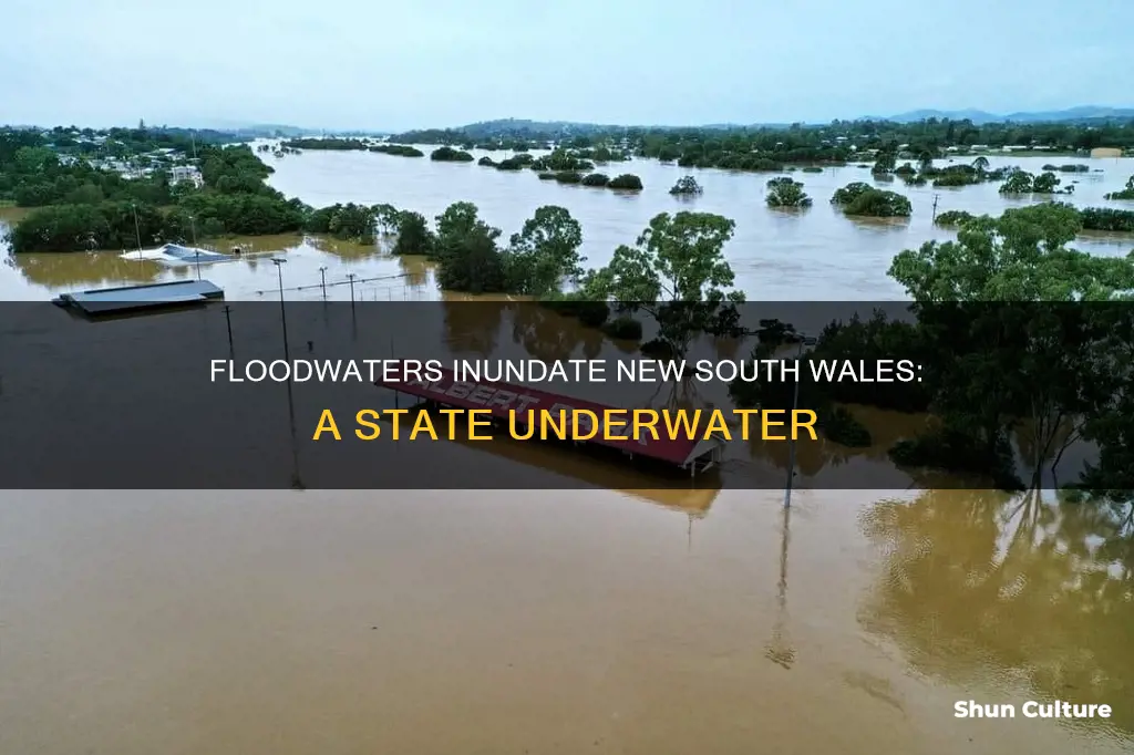 what australian state grappled with record breaking flooding this week