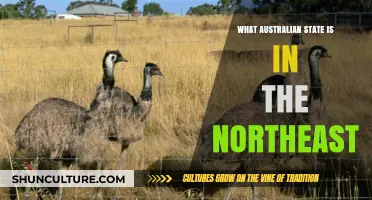 Discover the Northeast State of Australia