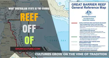 Exploring the Coral Reef off Queensland's Coast