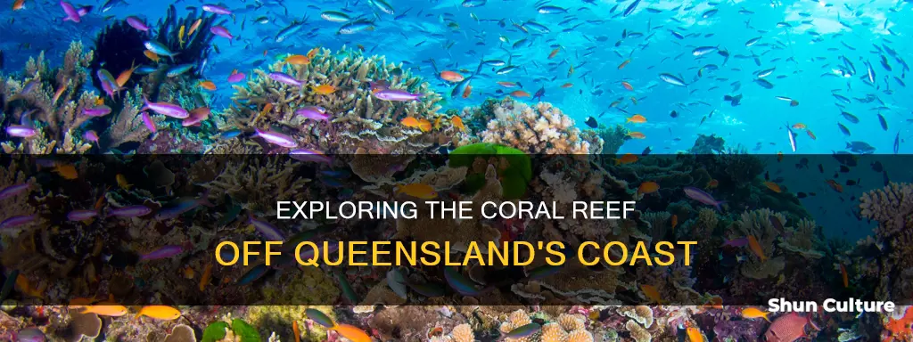 what australian state is the corral reef off of
