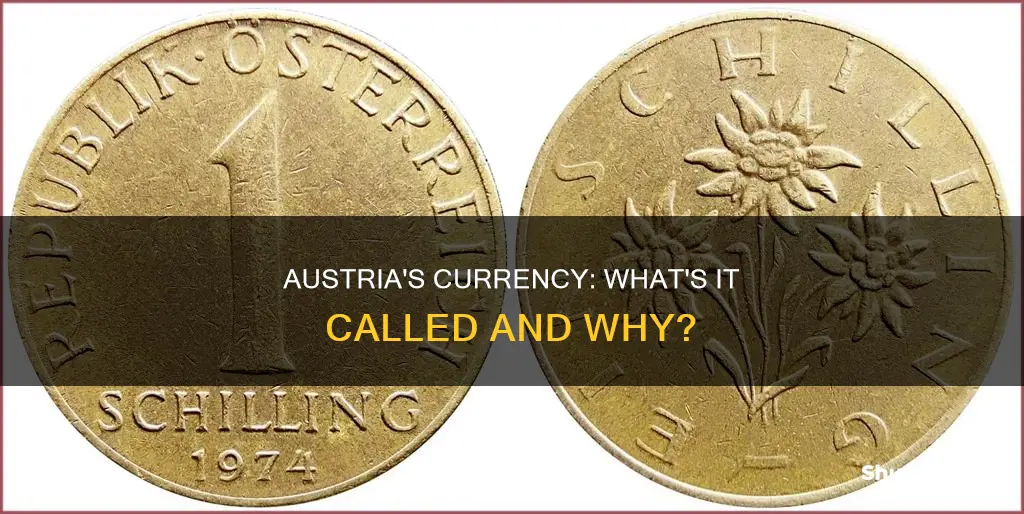 what austria money called