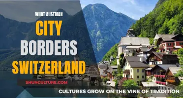 Austrian City on the Swiss Border: Where Is It?