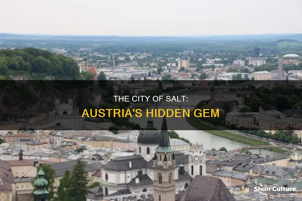 what austrian city is known for salt