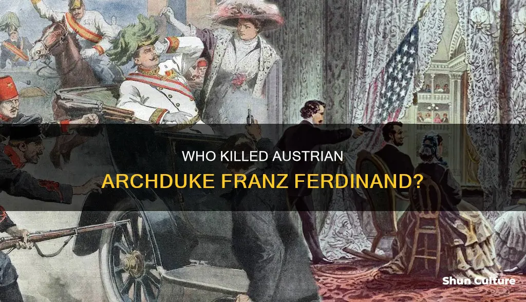 what austrian leader was killed by a terrorist