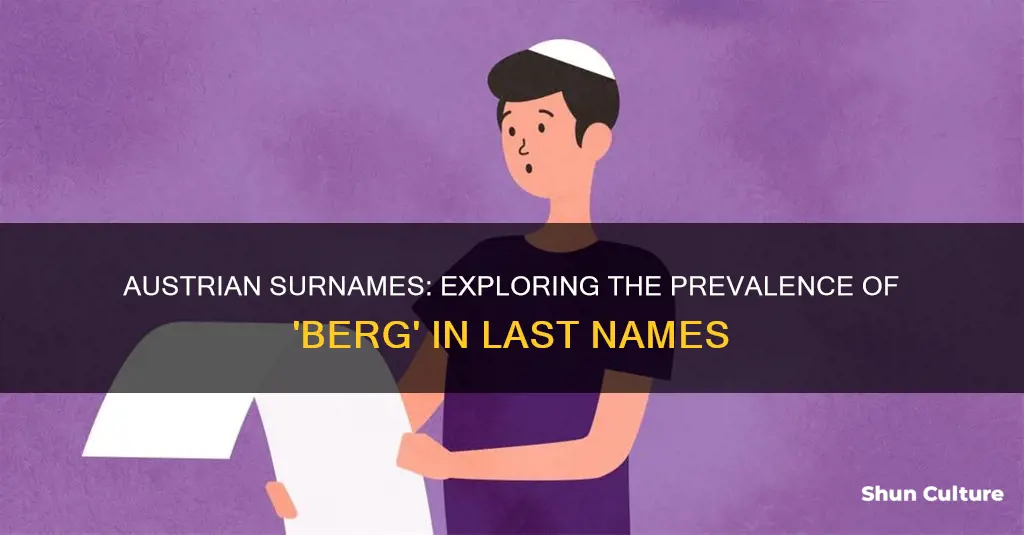 what austrian surnames contain berg