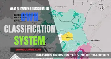 Austrian Wine Regions: Unique Classification Systems Explored