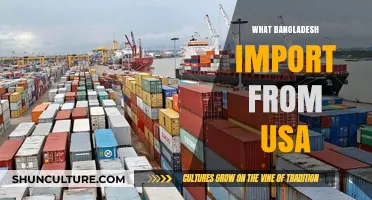 Key US Exports to Bangladesh: A Comprehensive Trade Analysis
