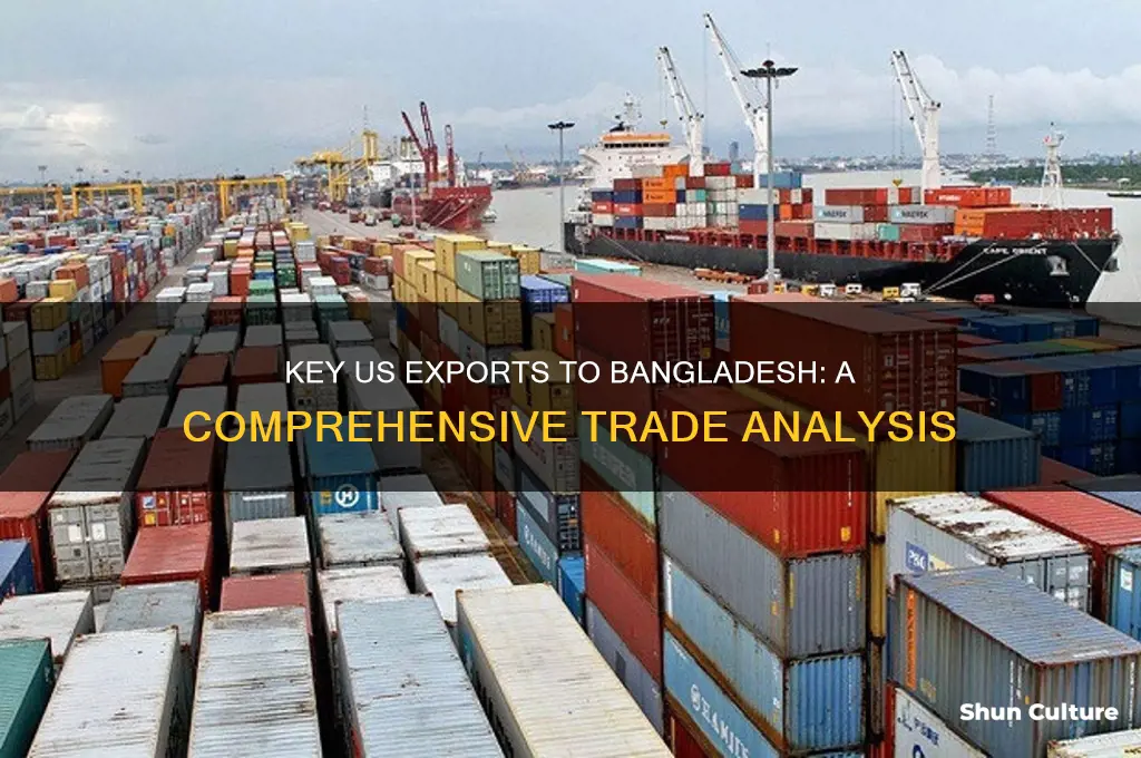 what bangladesh import from usa