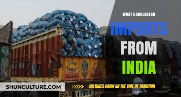 Key Imports: What Bangladesh Sources from India's Diverse Market